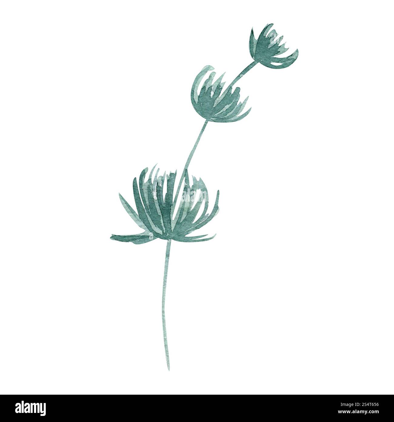 Wild flower leaf watercolor hand drawn illustration isolated on white ...
