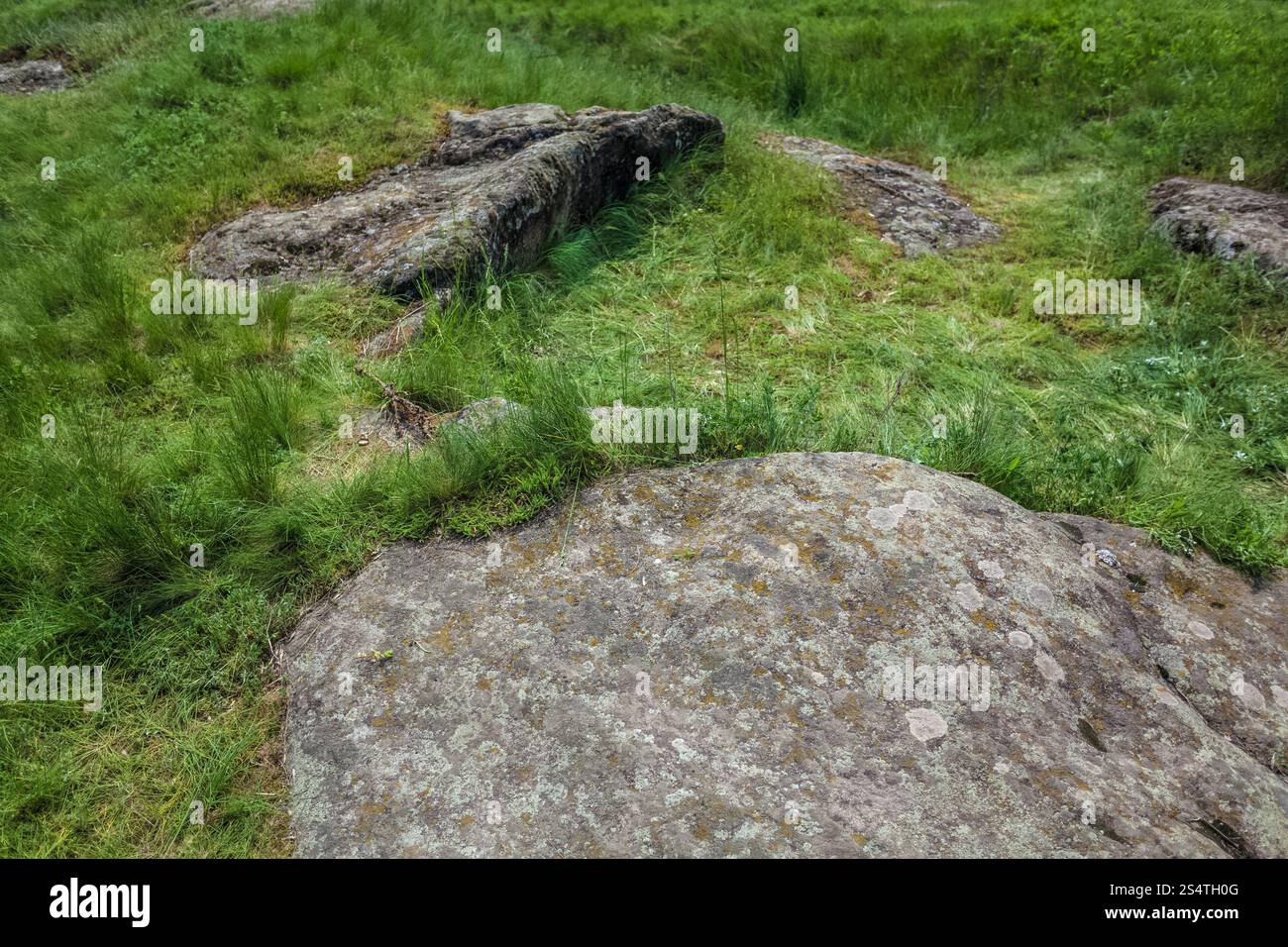 Closeup photo of huge stones on highland meadow Stock Photo