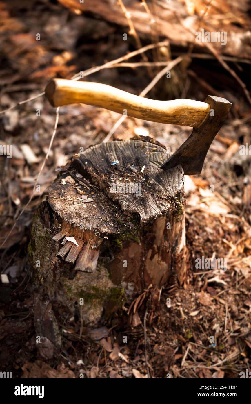 Iron axe stuck in log at forest Stock Photo