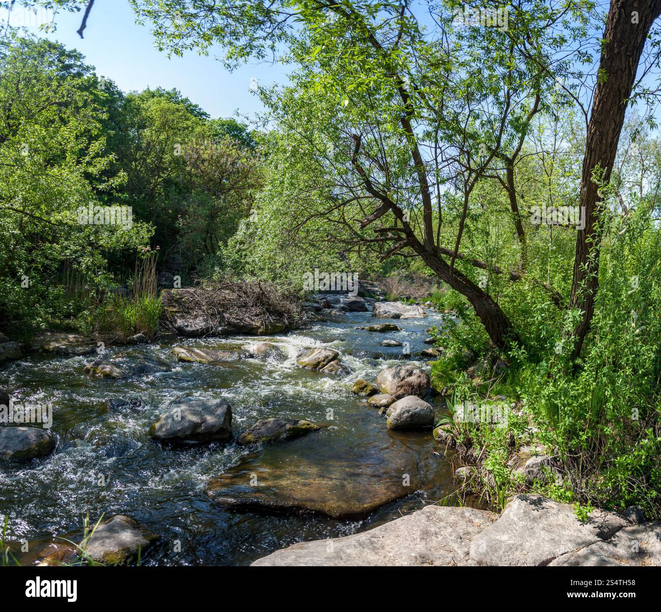 Mountain stream fast clear blue hi-res stock photography and images - Alamy