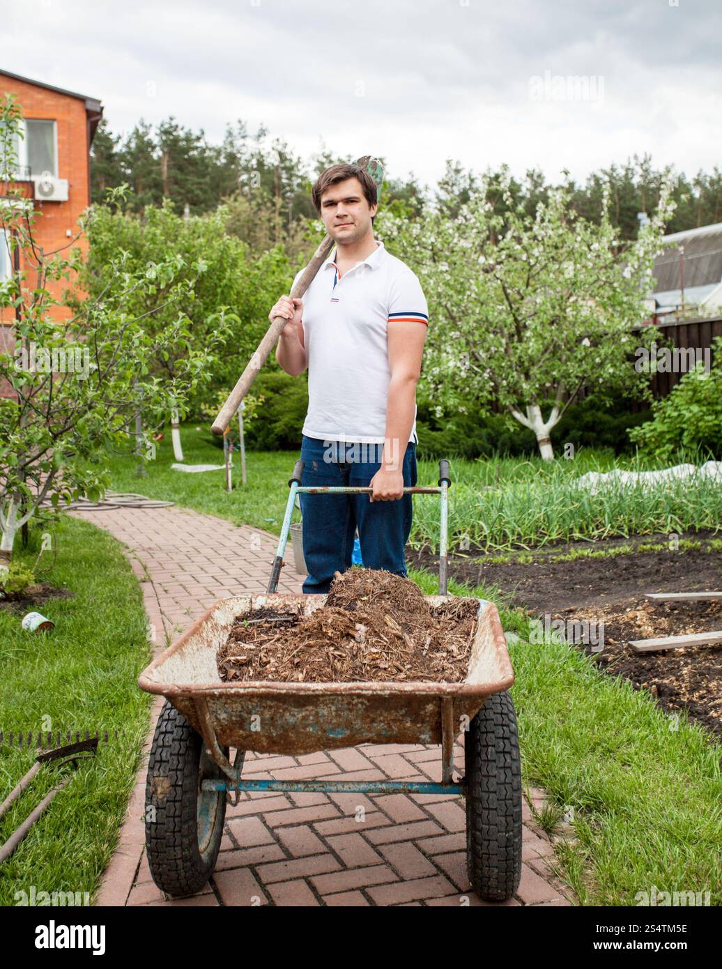 Young brunette man holding shovel and wheelbarrow Stock Photo - Alamy