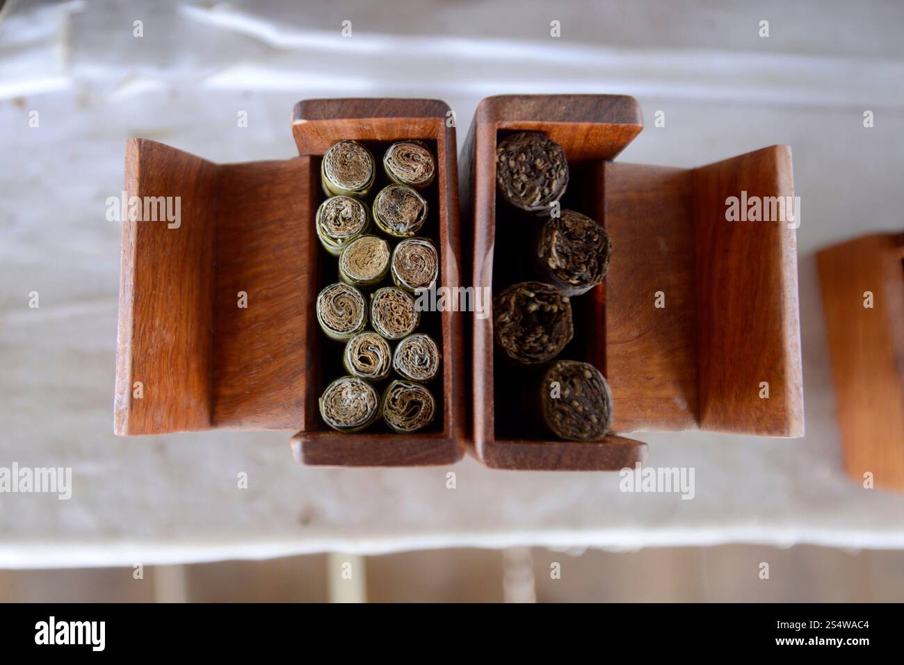 a Tabacco and cigar and cheroot Factory near the Village of Phaung Daw Oo at the Inle Lake in the Shan State in the east of Myanmar in Southeastasia. Stock Photo