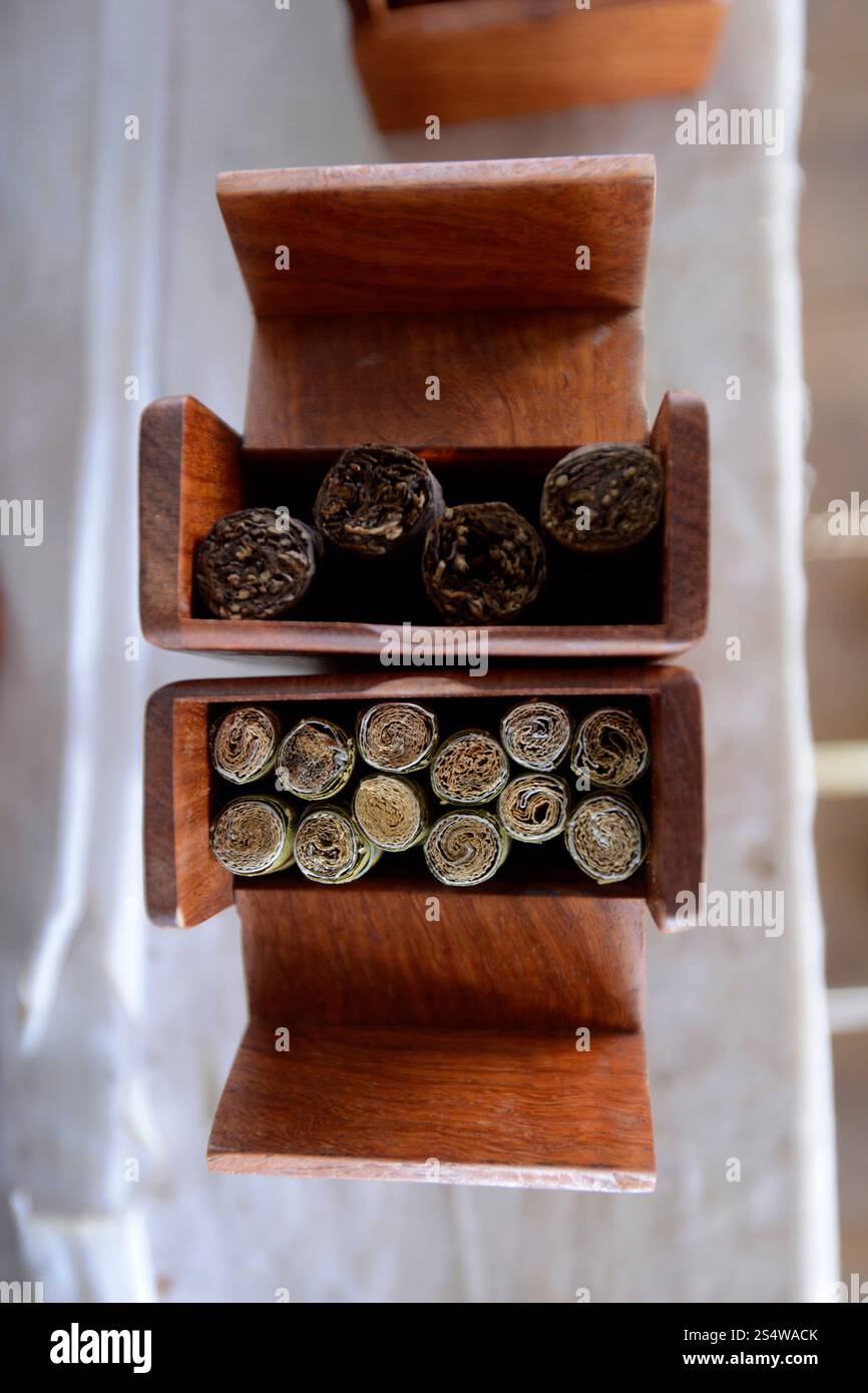 a Tabacco and cigar and cheroot Factory near the Village of Phaung Daw Oo at the Inle Lake in the Shan State in the east of Myanmar in Southeastasia. Stock Photo
