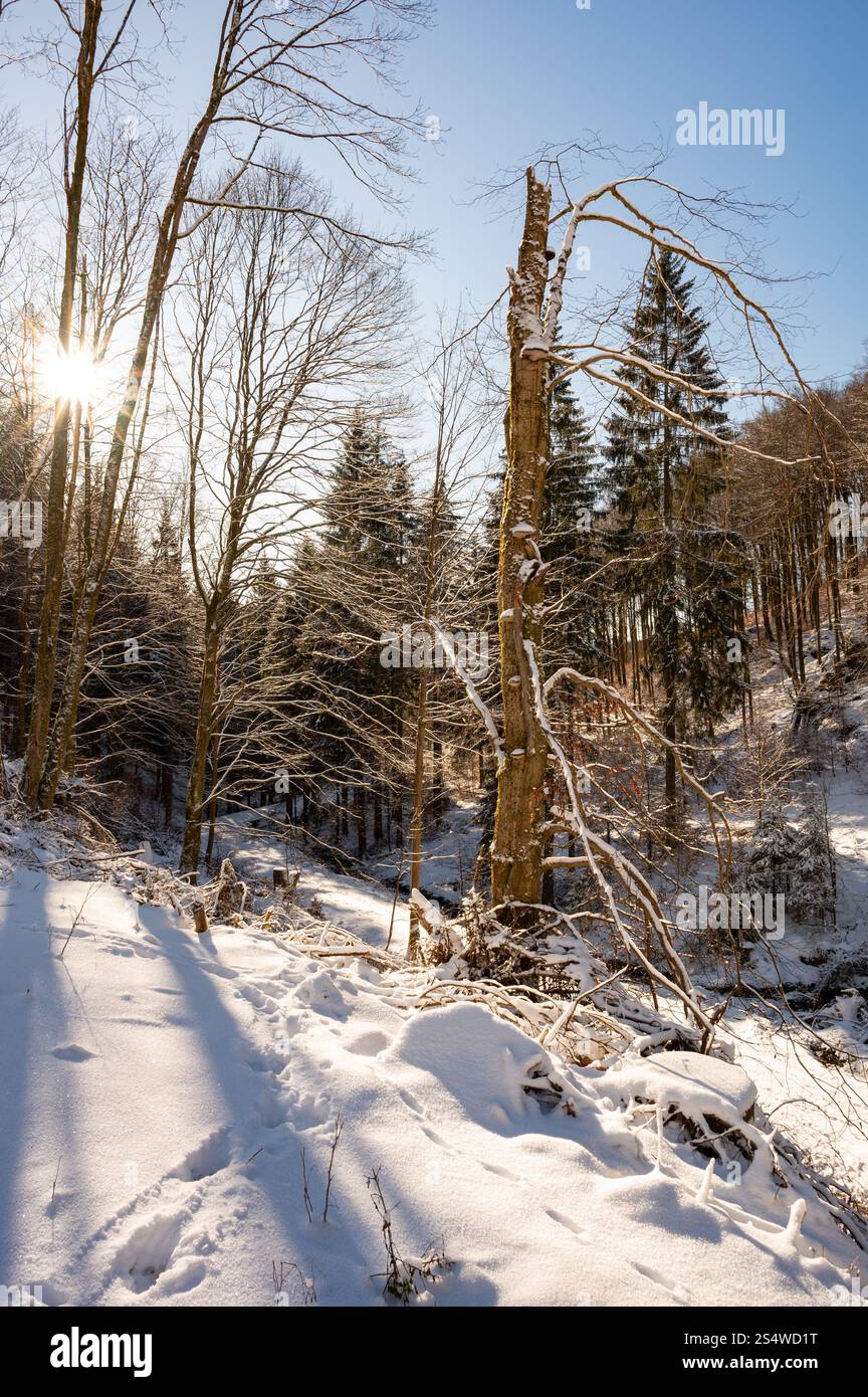 winter landscape near Frauenwald in Thuringia Stock Photo