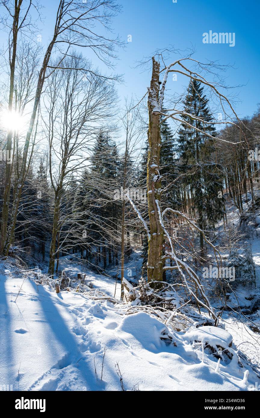 winter landscape near Frauenwald in Thuringia Stock Photo