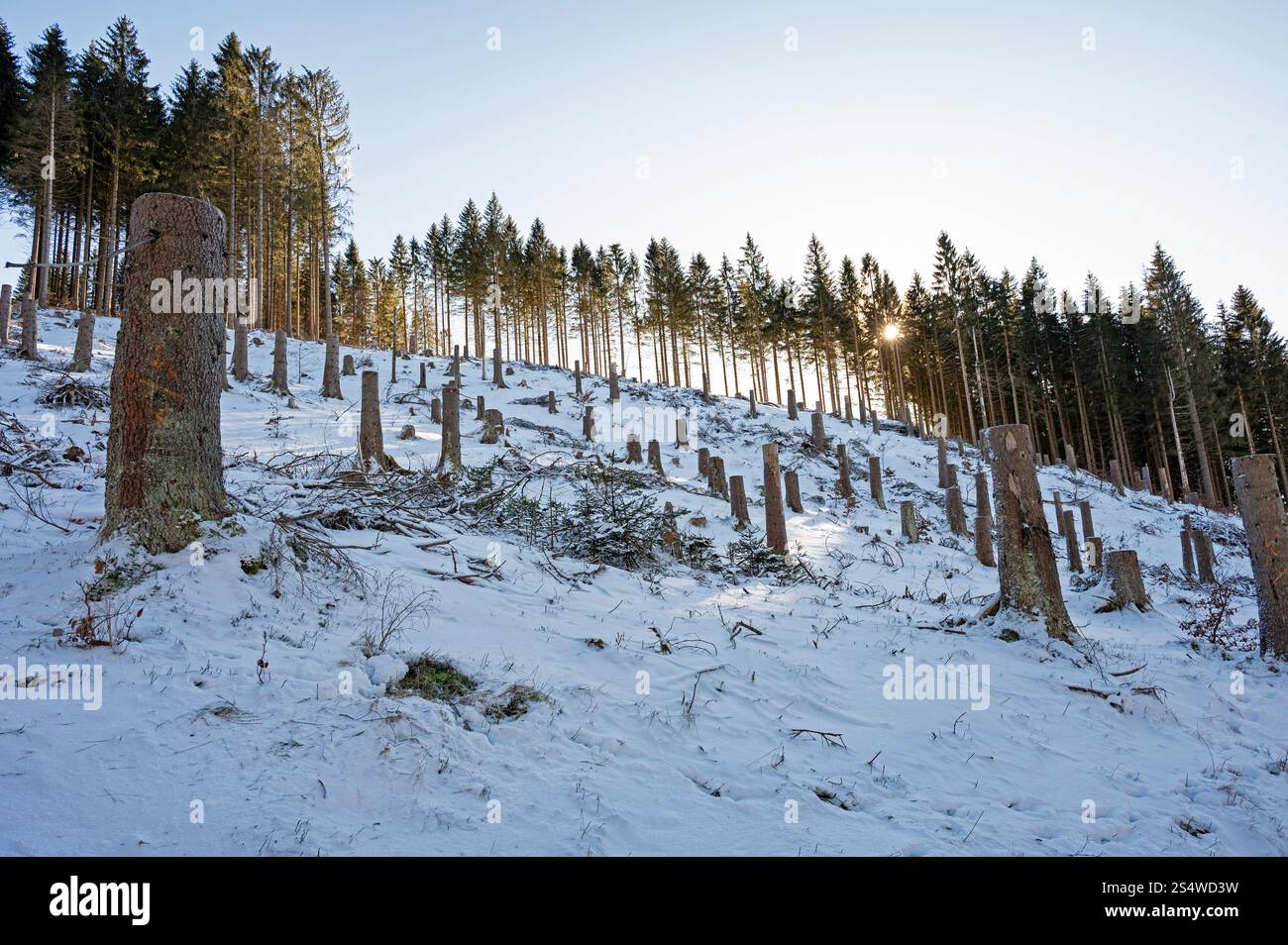 winter landscape near Frauenwald in Thuringia Stock Photo