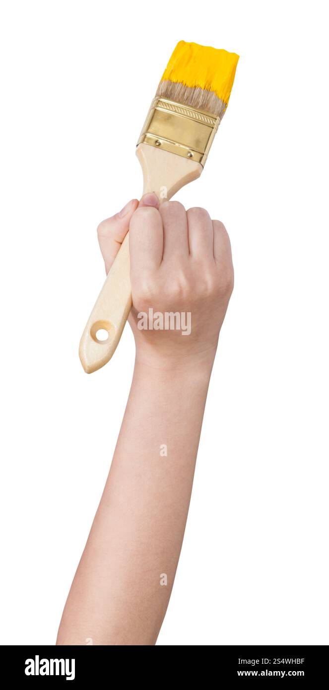 house painter hand paints with brush in yellow paint isolated on white background Stock Photo