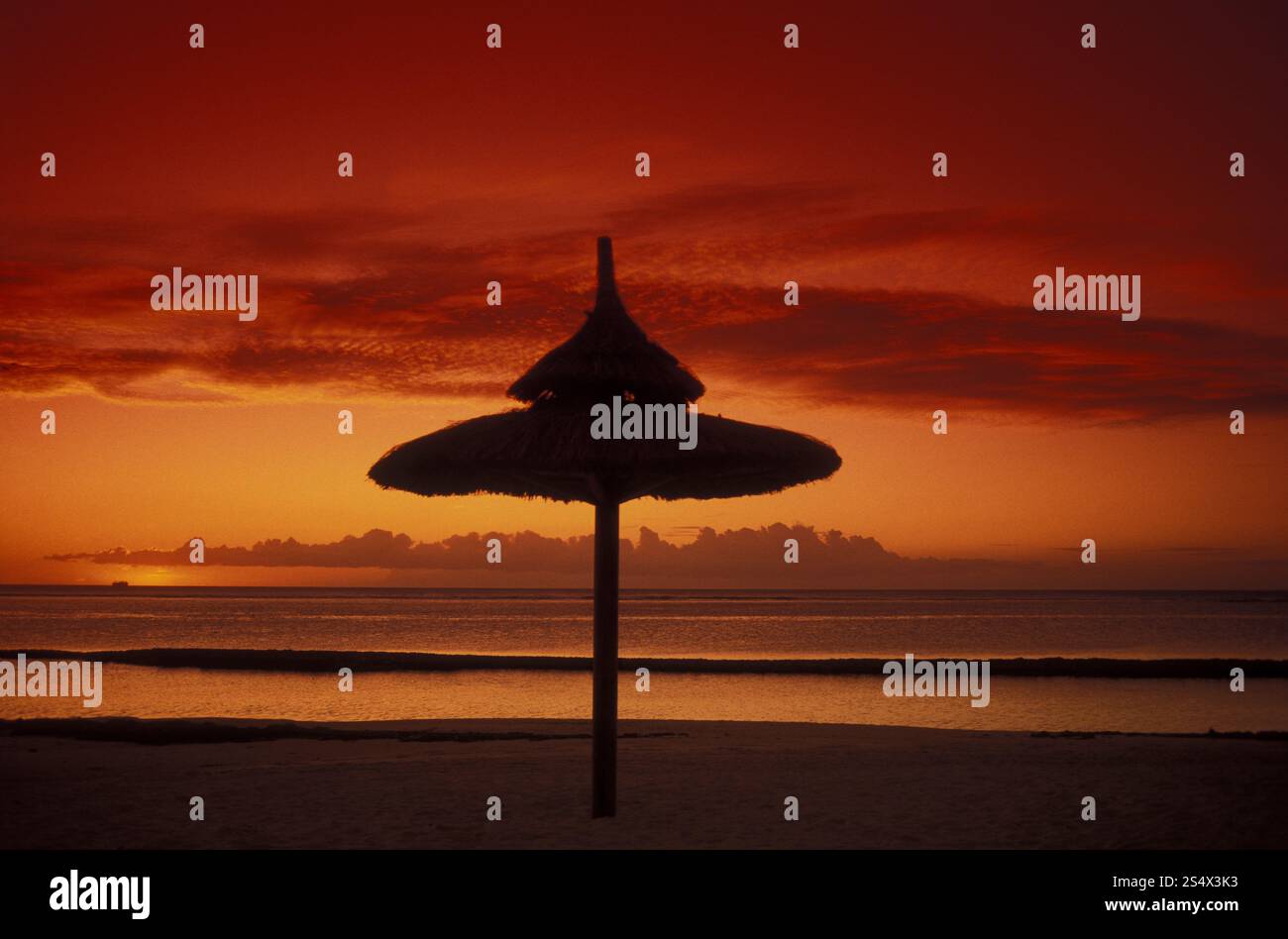 a sunset on a beach on the island of Mauritius in the indian ocean ...