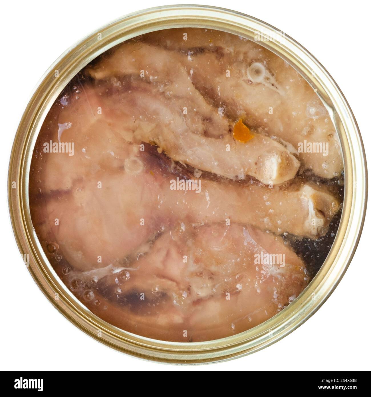 above view of canned fish isolated on white background - broad whitefish in jelly Stock Photo