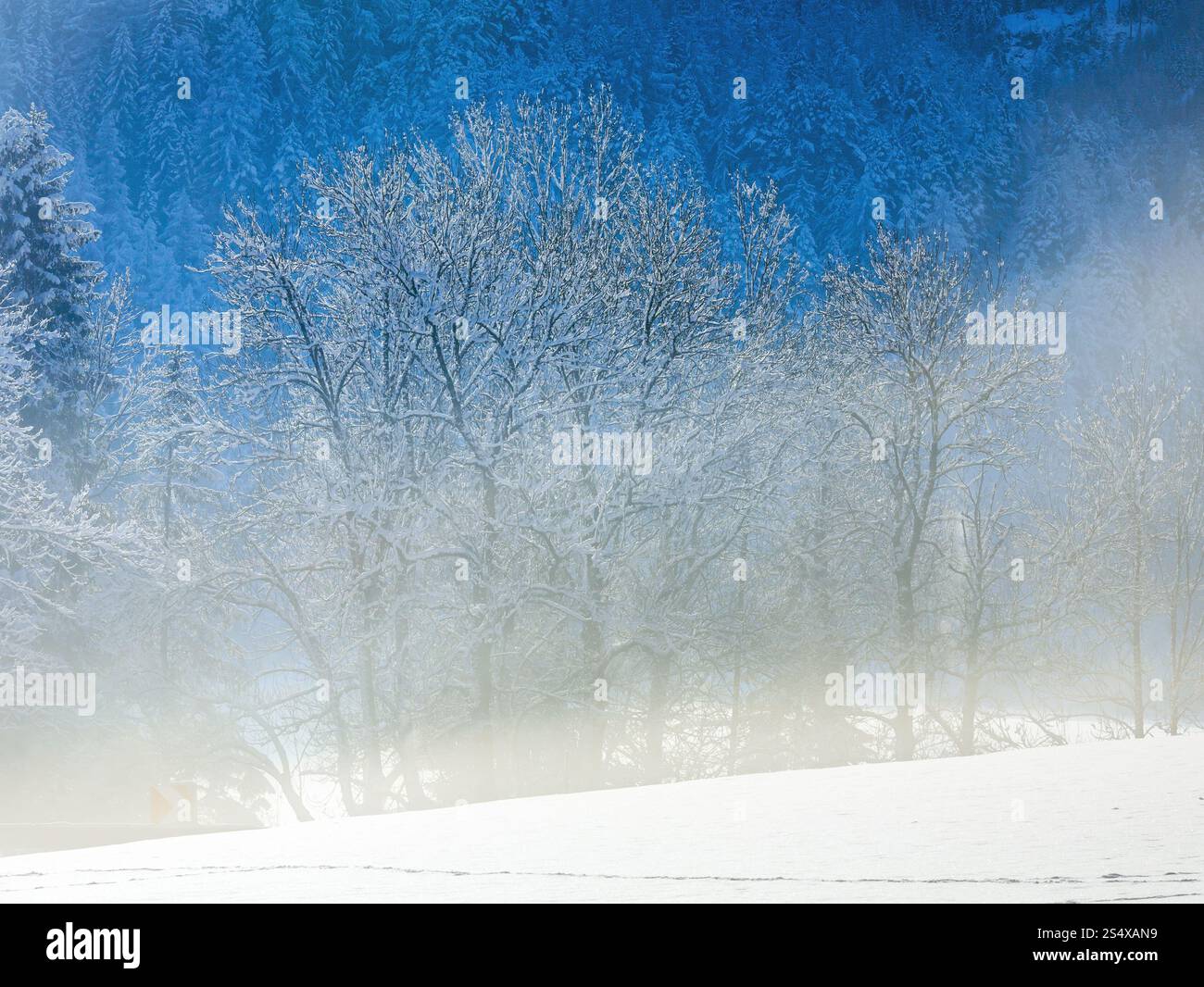 Mountain snowfall hi-res stock photography and images - Alamy Mountain snowfall hi-res stock photography and images - Alamy