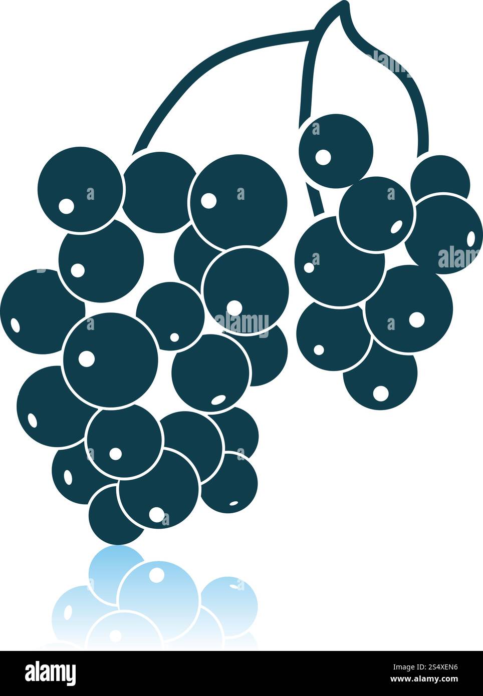 Icon Of Black Currant. Shadow Reflection Design. Vector Illustration ...