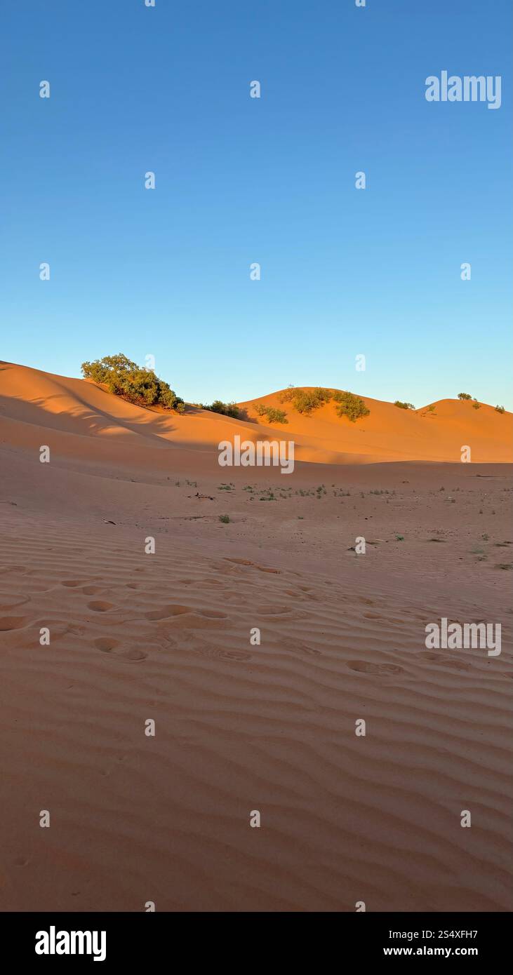 Sand dunes in The Sahara Desert, Morocco - Smartphone Captured Stock Image