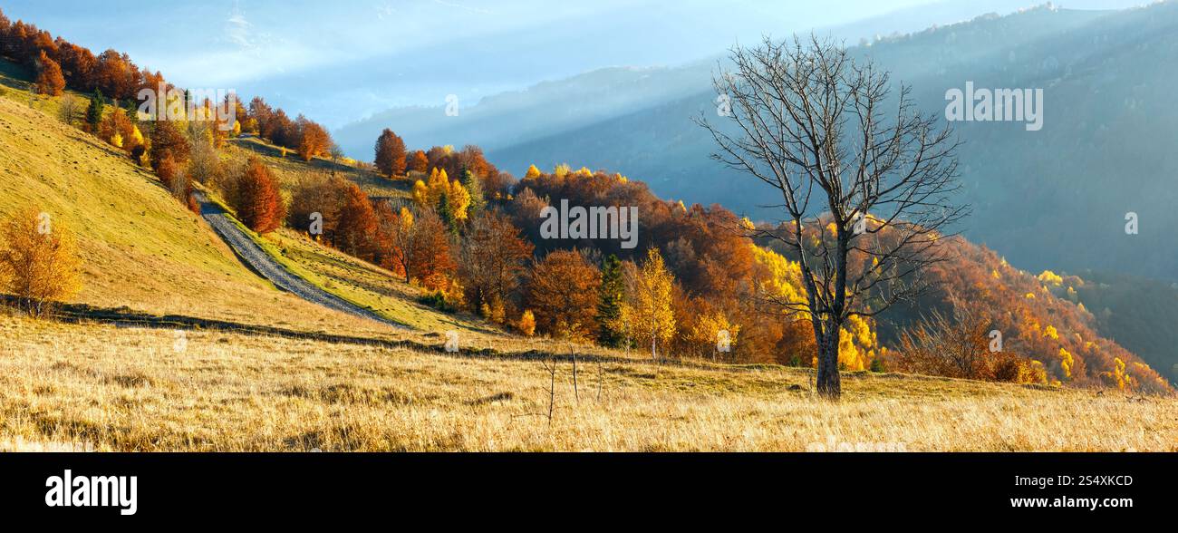 Rural road in autumn misty mountain, colorful trees on slope and ...