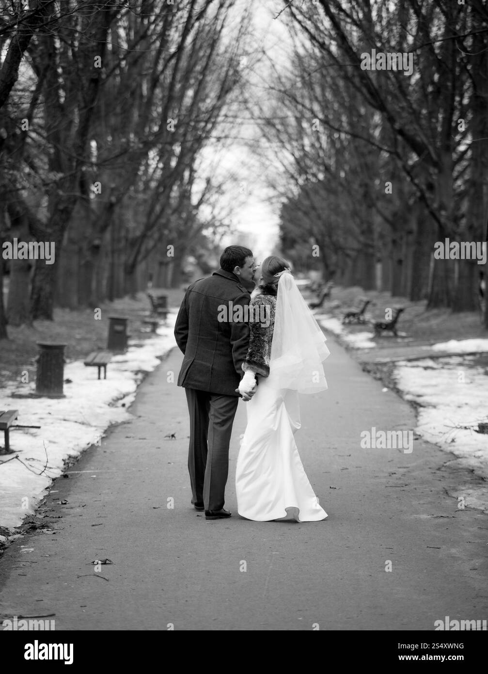 Black and white photo of newly married couple walking at the park alley at winter Stock Photo