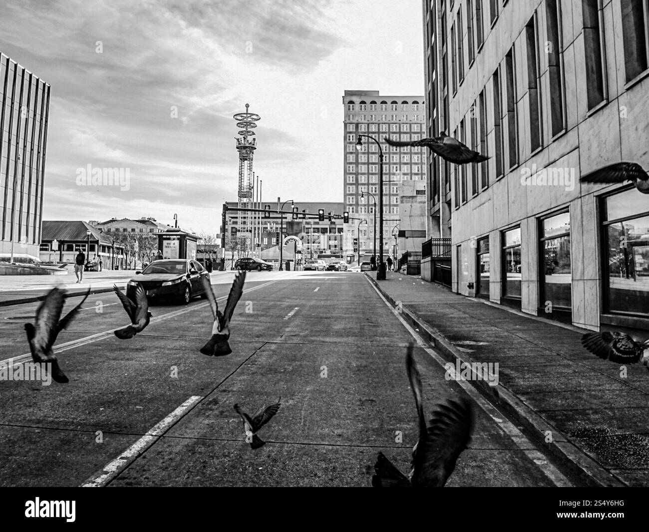 Dynamic stillness hi res stock photography and images Alamy Dynamic stillness hi res stock photography and images Alamy