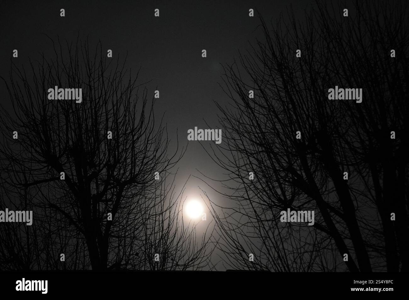 A full moon rises over east London. The first full moon the Wolf moon