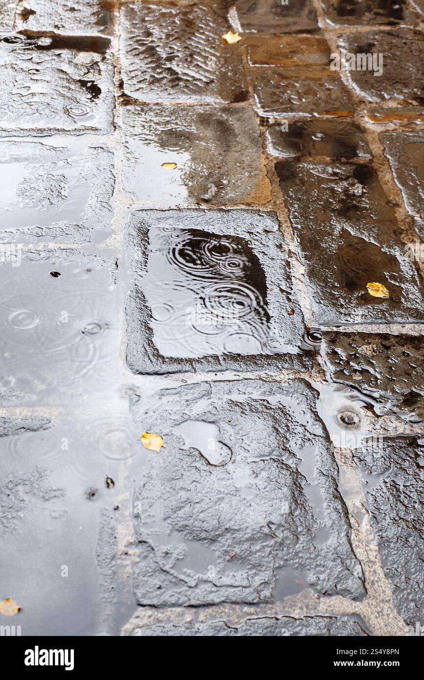 travel to Italy - urban pavement with rain puddle and yellow fallen ...