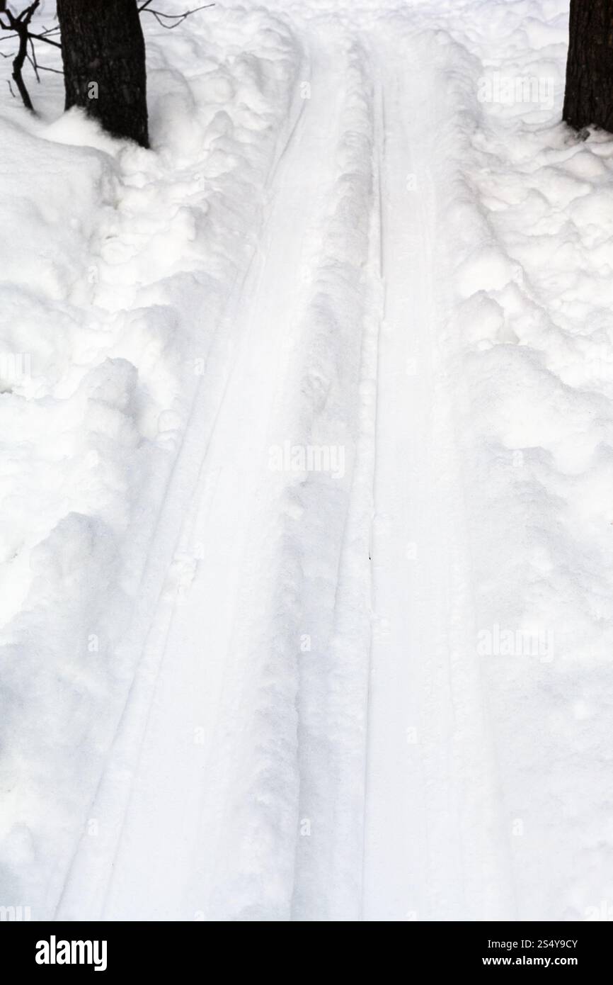 Way in deep forest hi-res stock photography and images - Alamy