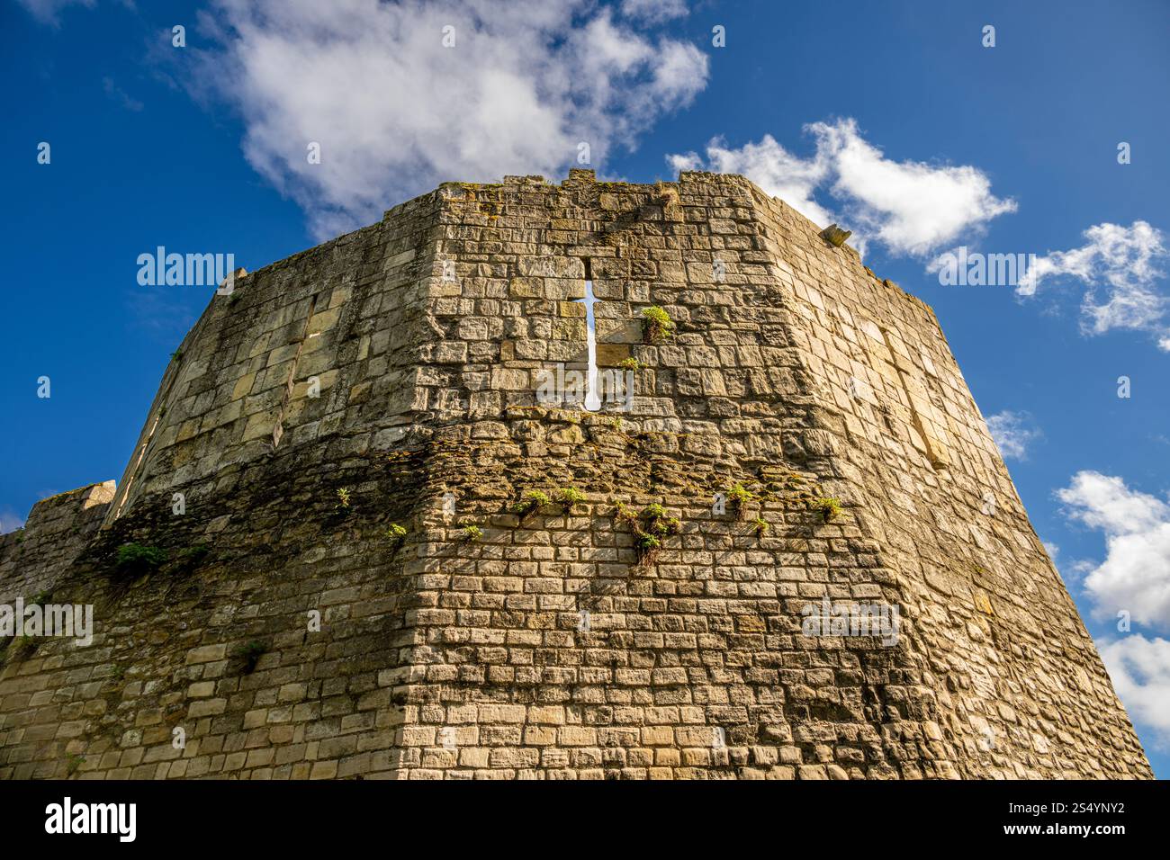 The Multangular Tower seen from ground level looking upwards. York ...