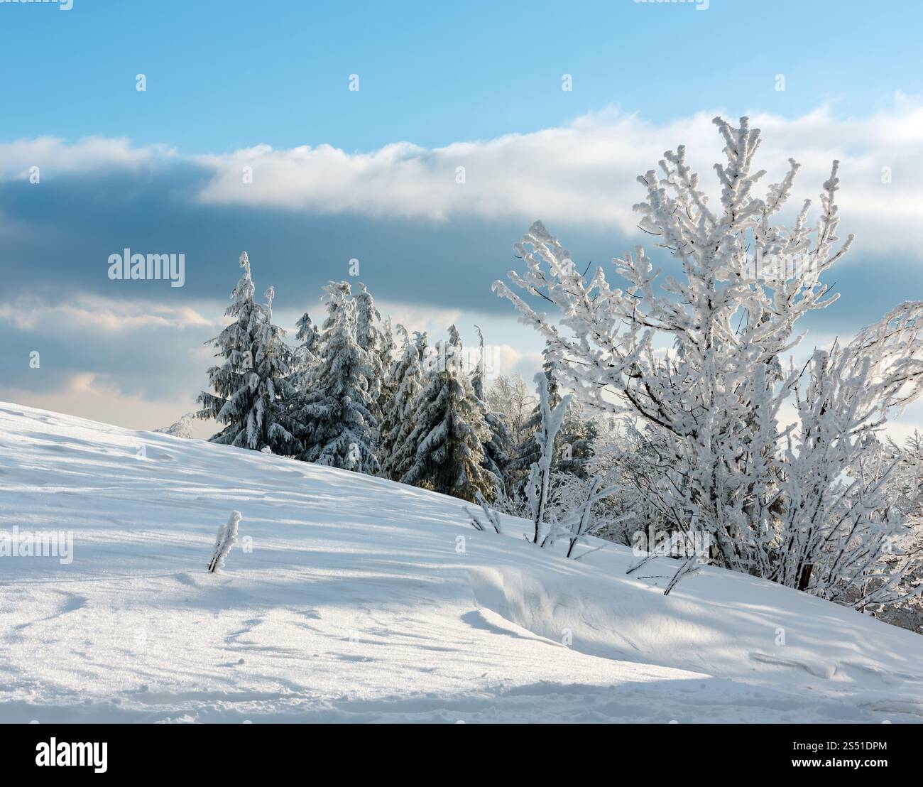 Evening winter calm mountain landscape with beautiful frosting trees and snowdrifts on slope (Carpathian Mountains, Ukraine). Winter mountain snowy Stock Photo