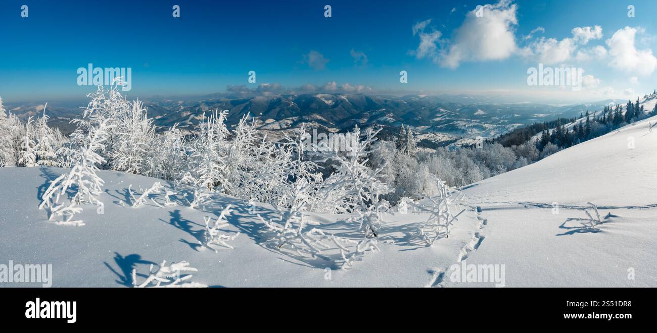 Morning winter calm mountain panorama landscape with beautiful frosting trees and snowdrifts on slope (Carpathian Mountains, Ukraine). Winter Stock Photo