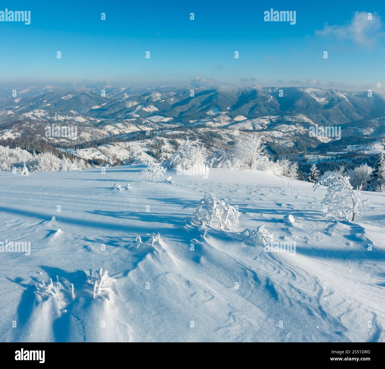 Morning winter calm mountain landscape with beautiful frosting trees and snowdrifts on slope (Carpathian Mountains, Ukraine). Winter mountain snowy Stock Photo