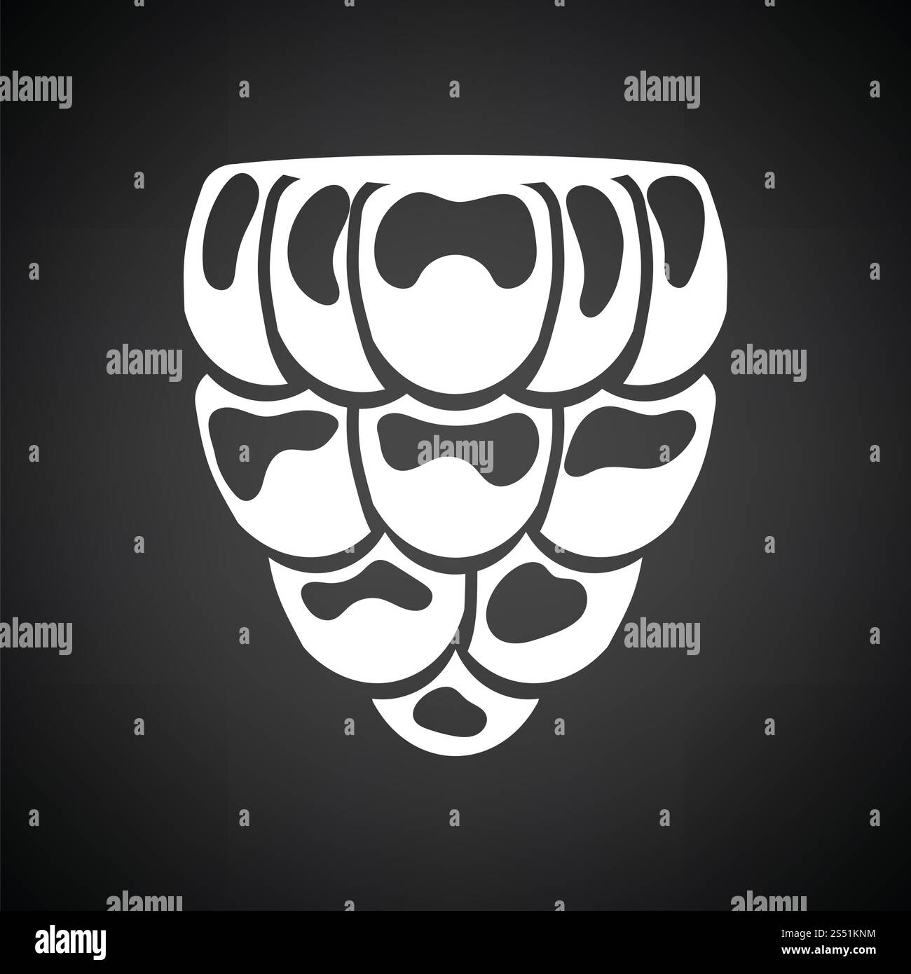Icon of Raspberry. Black background with white. Vector illustration ...