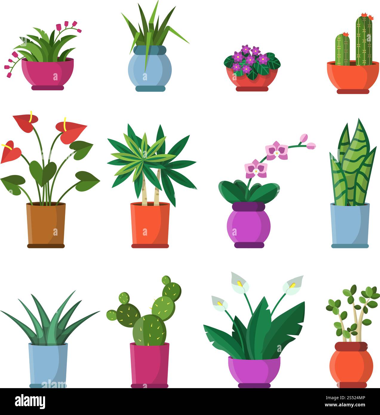 Vector illustrations of house plants in pots plant in pot hi-res stock ...