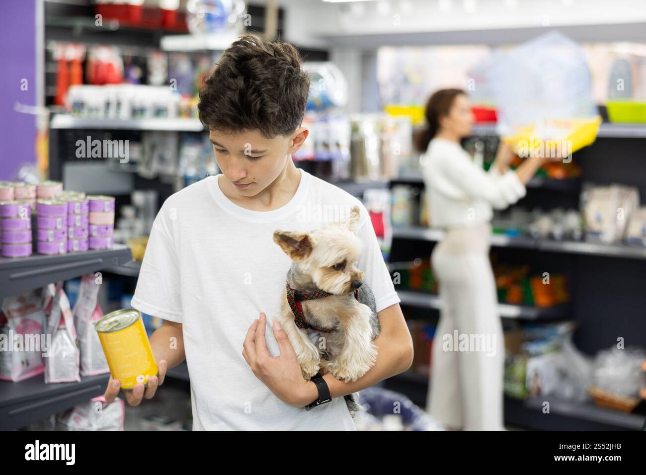 Boy with dog Yorkshire terrier in arms and read composition of product at packaging of dog dry food Stock Photo