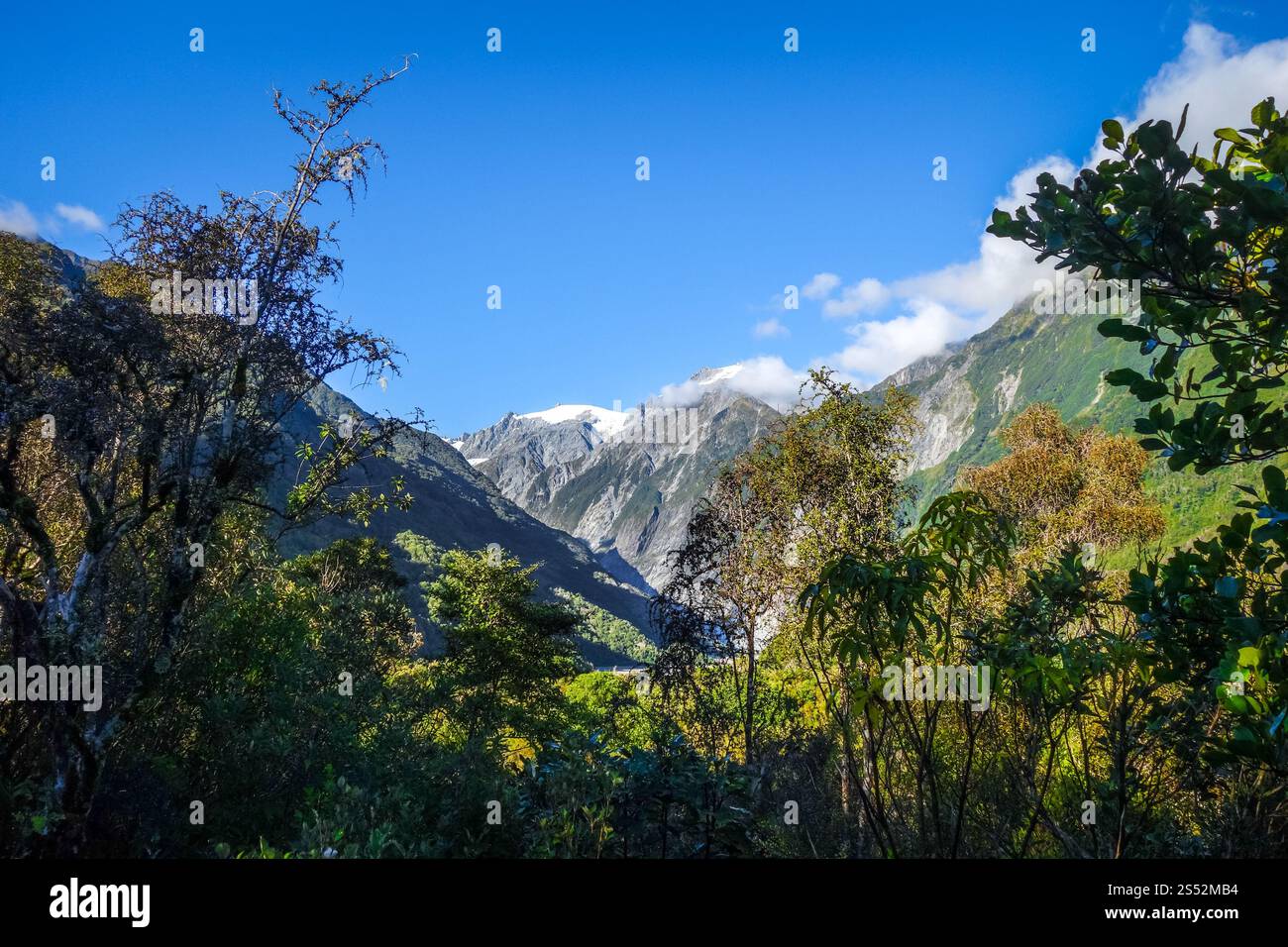 Franz Josef glacier and rain forest landscape, New Zealand. Franz Josef glacier and rain forest, New Zealand Stock Photo