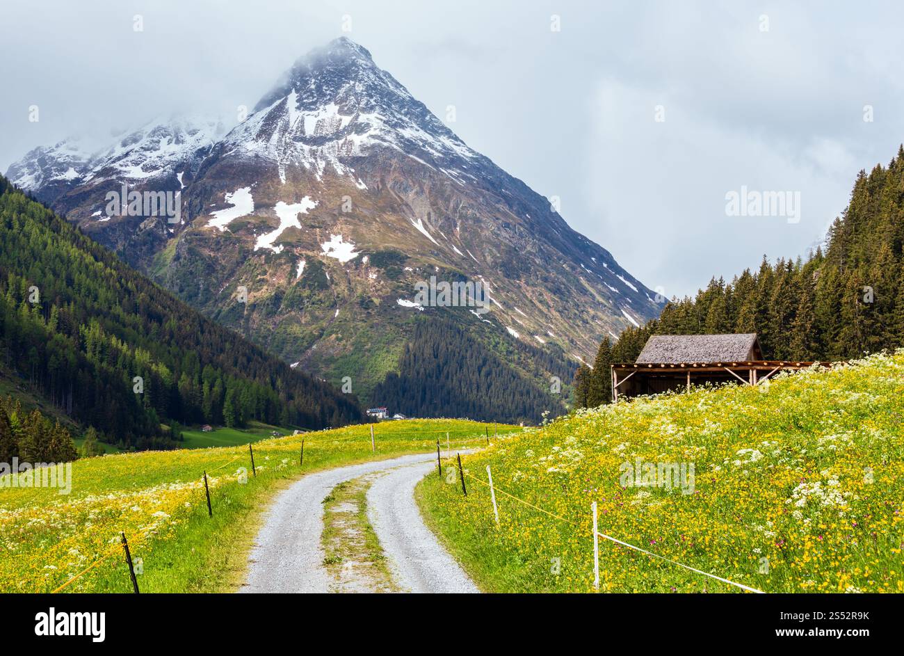 Summer mountain landscape with blossoming slope and country road ...