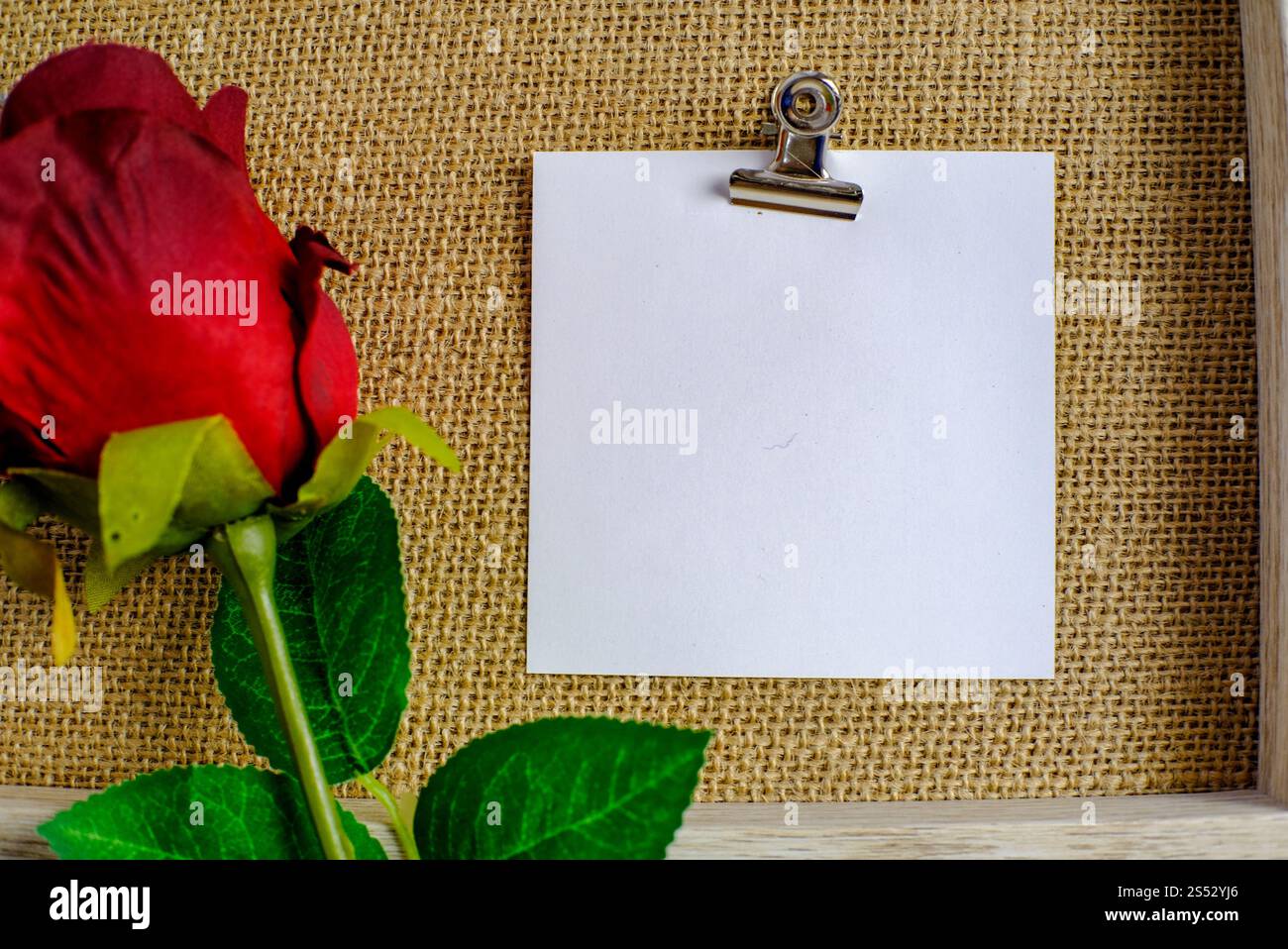 Valentines day background. Red rose with message card of Love romantic ...