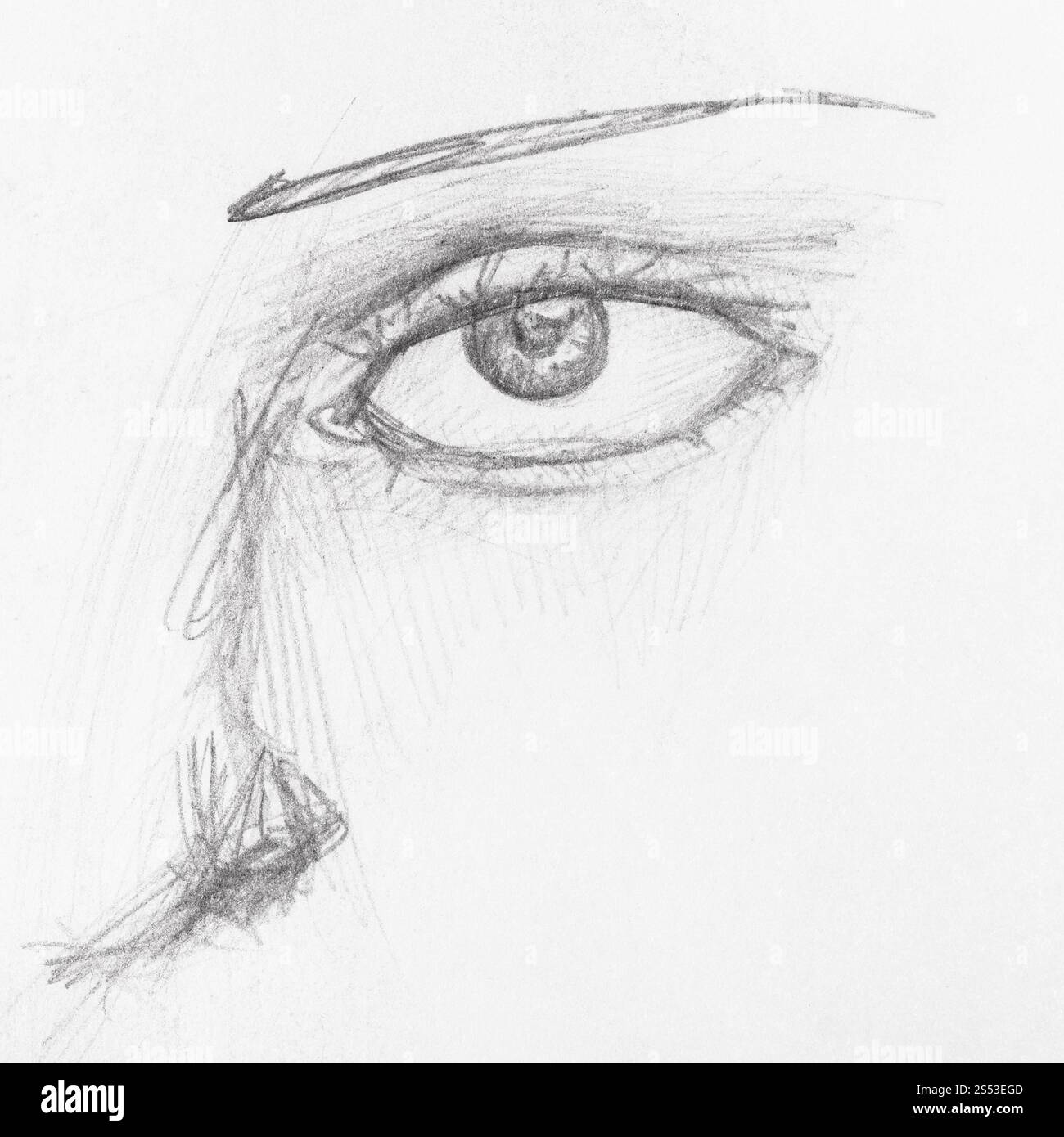 detail of face with eye hand-drawn by black pencil on white paper Stock ...