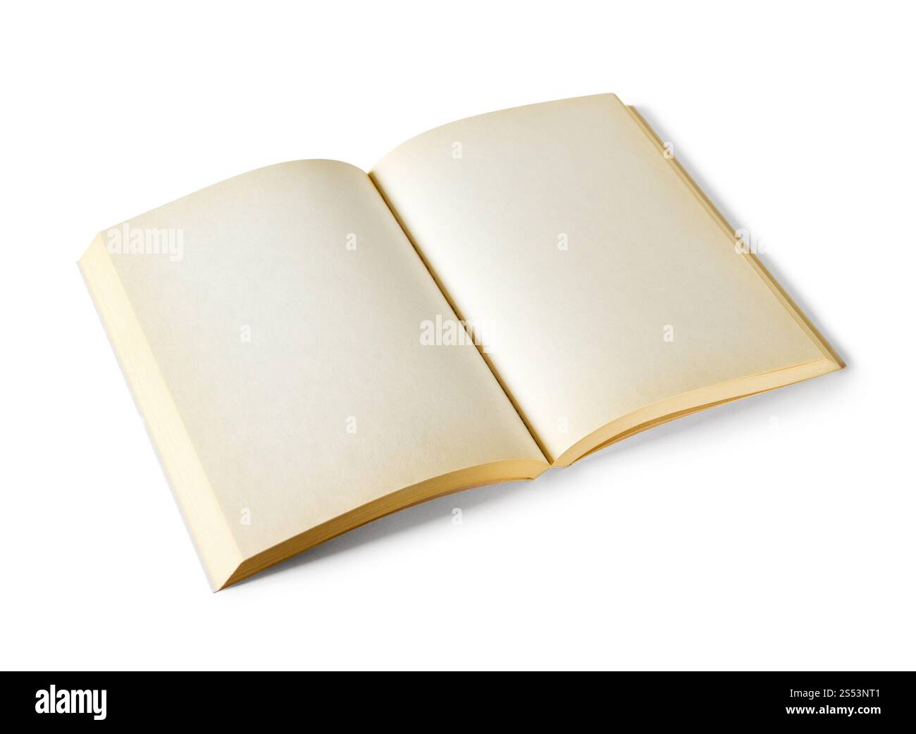 Old open blank book mockup, isolated on white. Top view. Old open blank book isolated on white Stock Photo