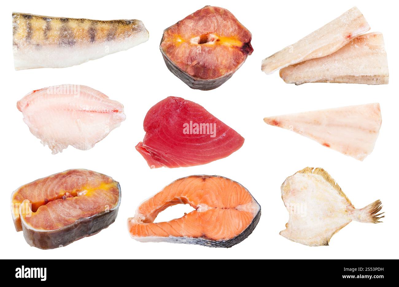 collage from various raw frozen fishes (zander, sturgeon, ocean perch ...