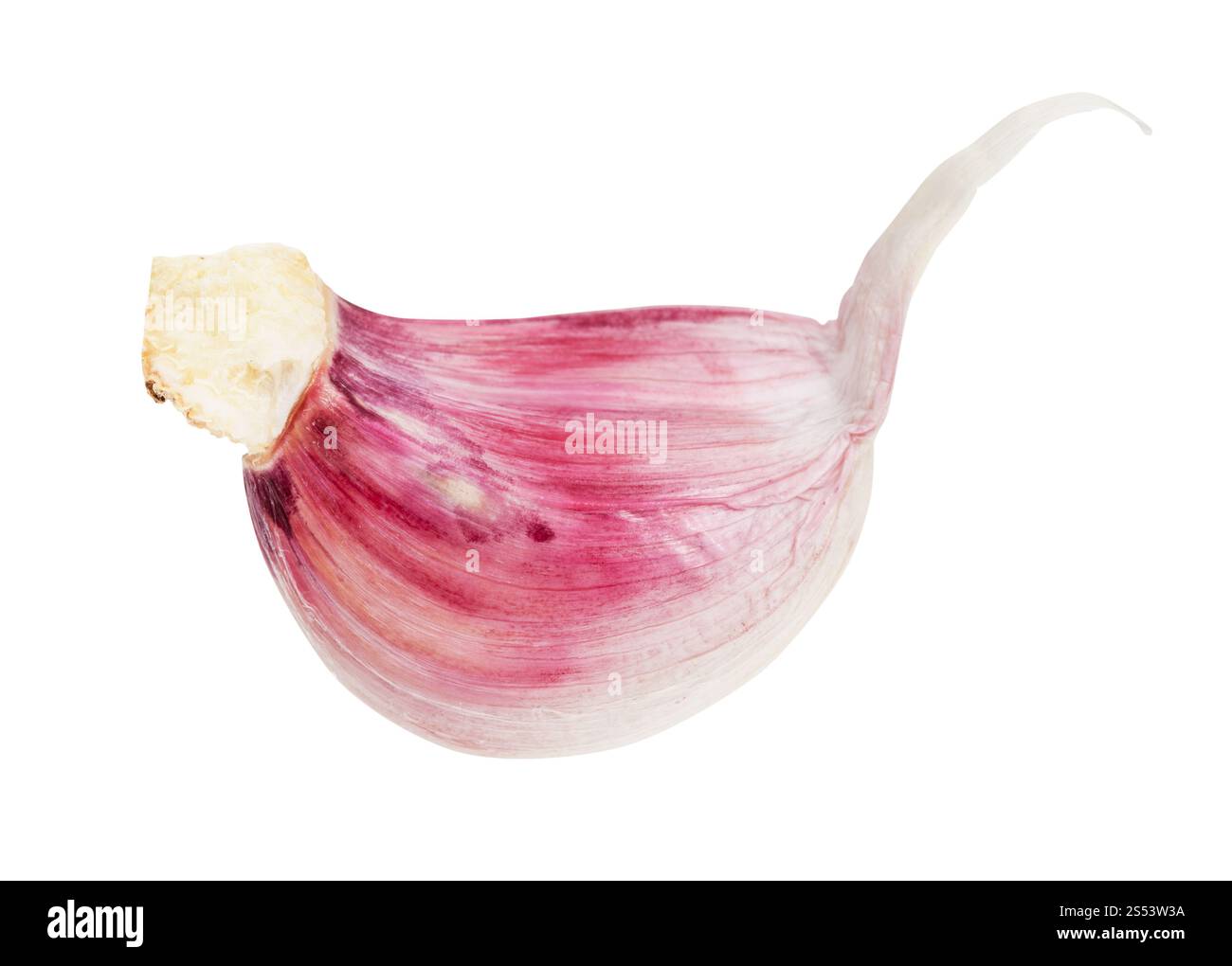 unpeeled clove of fresh garlic isolated on white background Stock Photo ...