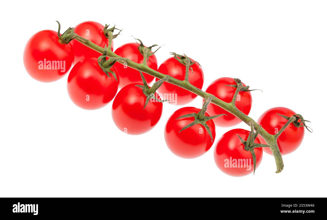 cluster of ripe red Cherry tomatoes isolated on white background Stock ...
