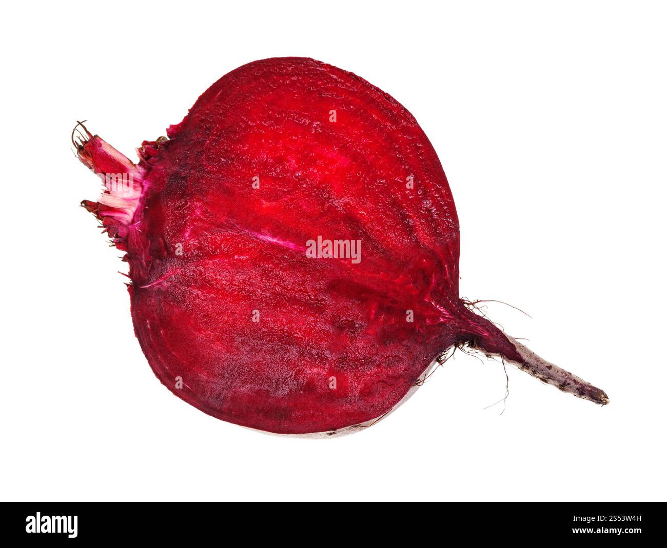 cutted ripe garden beetroot isolated on white background Stock Photo