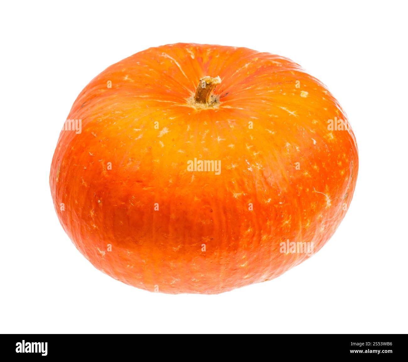 Orange pumpkin isolated on white background Stock Photo - Alamy