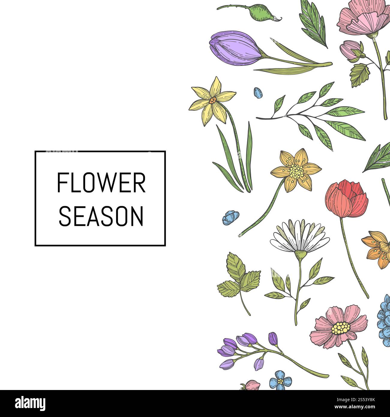 Vector hand drawn flowers background with place for text illustration ...