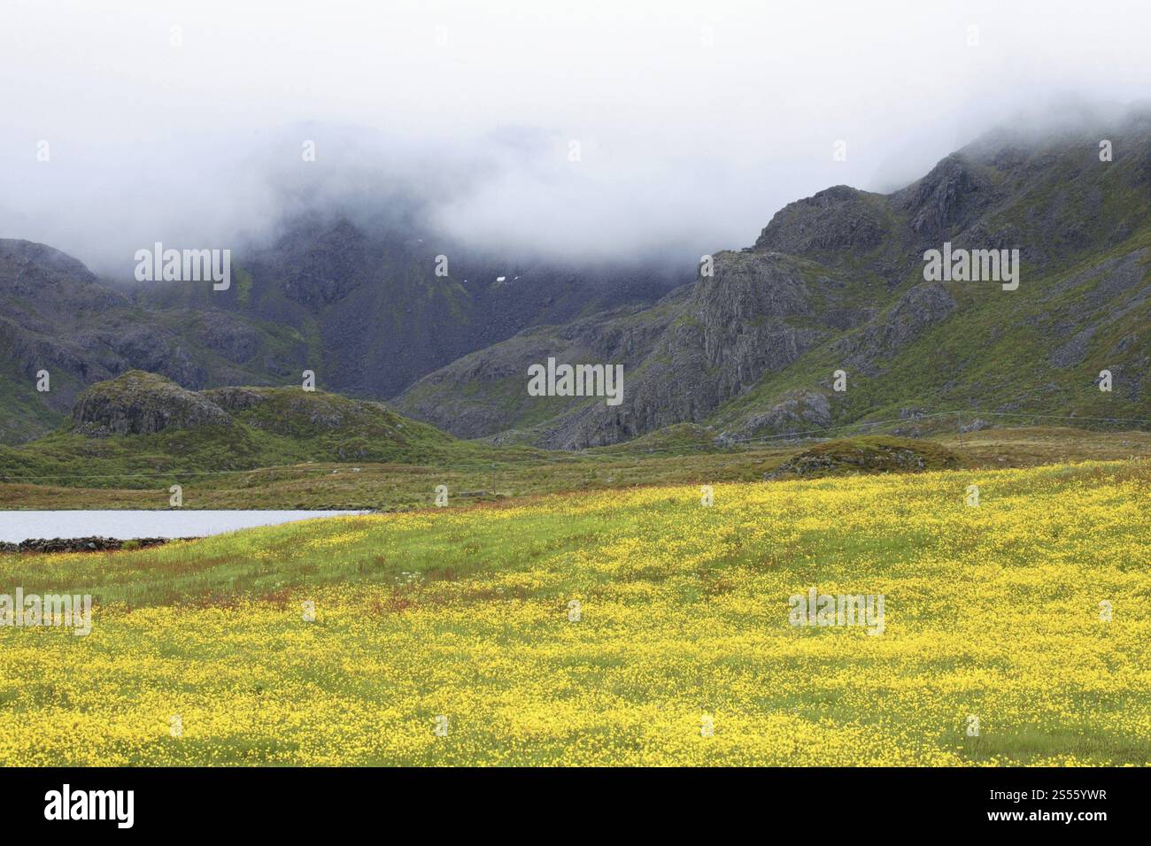 Lofoten fjell hi-res stock photography and images - Alamy