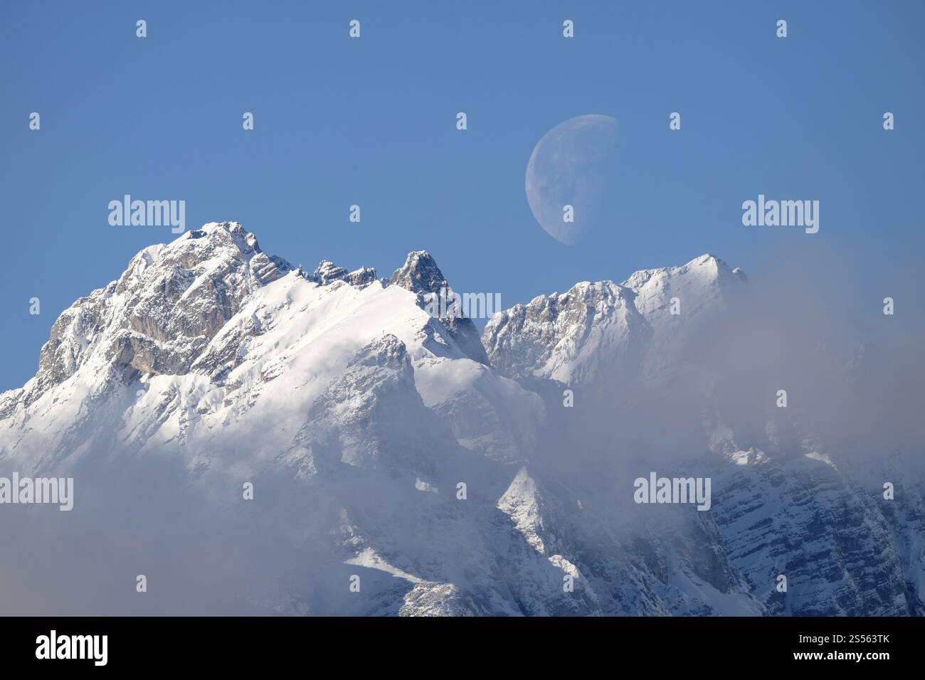 Small and large beggar's litter, moon, in winter, Vomp, Tyrol, Austria, Europe Stock Photo