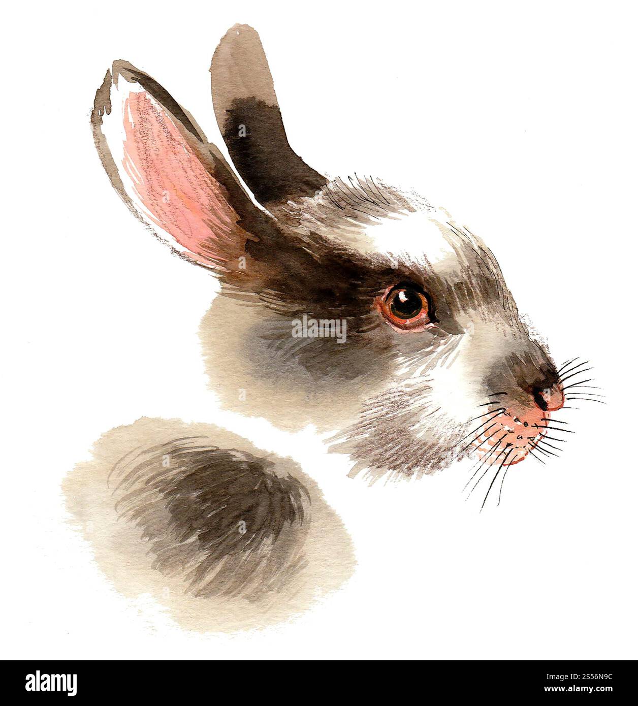 cute-rabbit-head-hand-drawn-watercolour-sketch-stock-photo-alamy