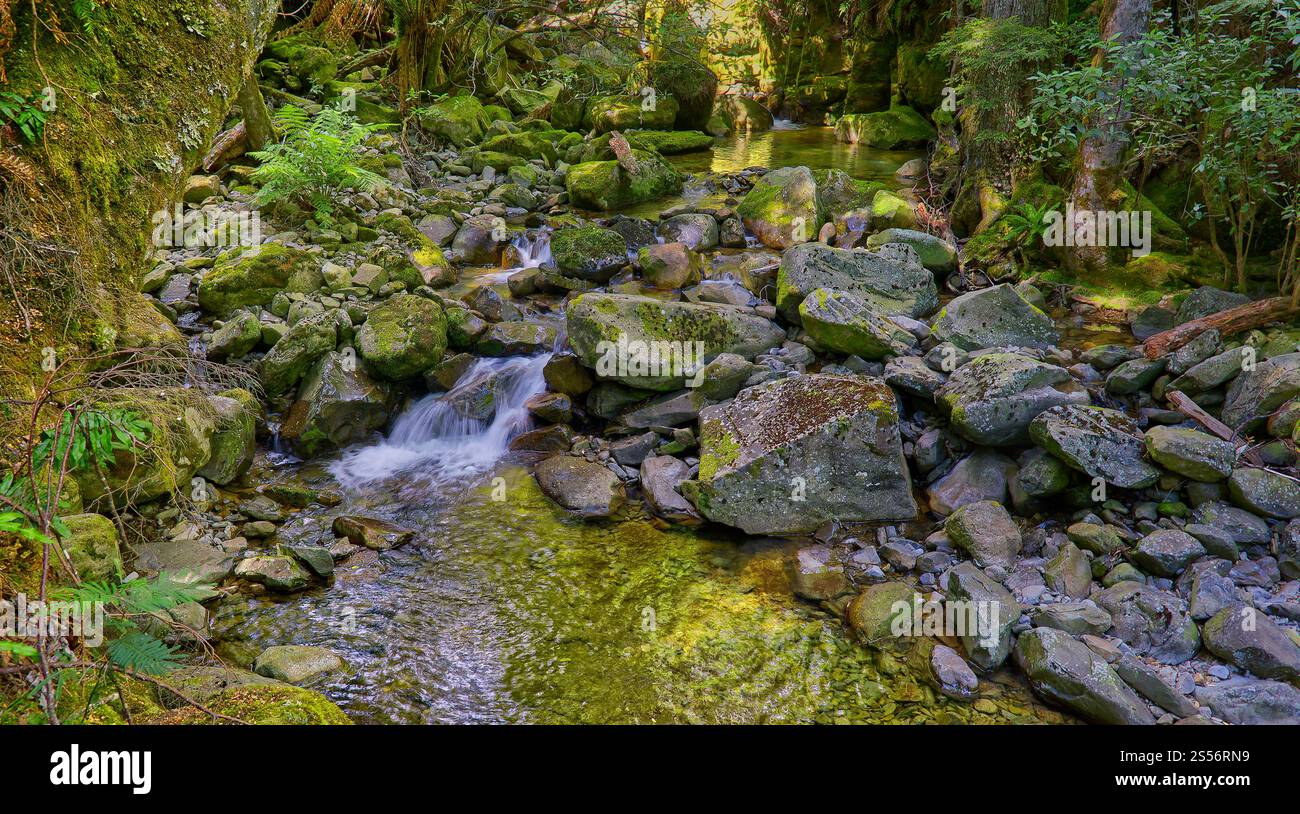 A waterfall cascade with clear river water in rainforest along Liffey ...