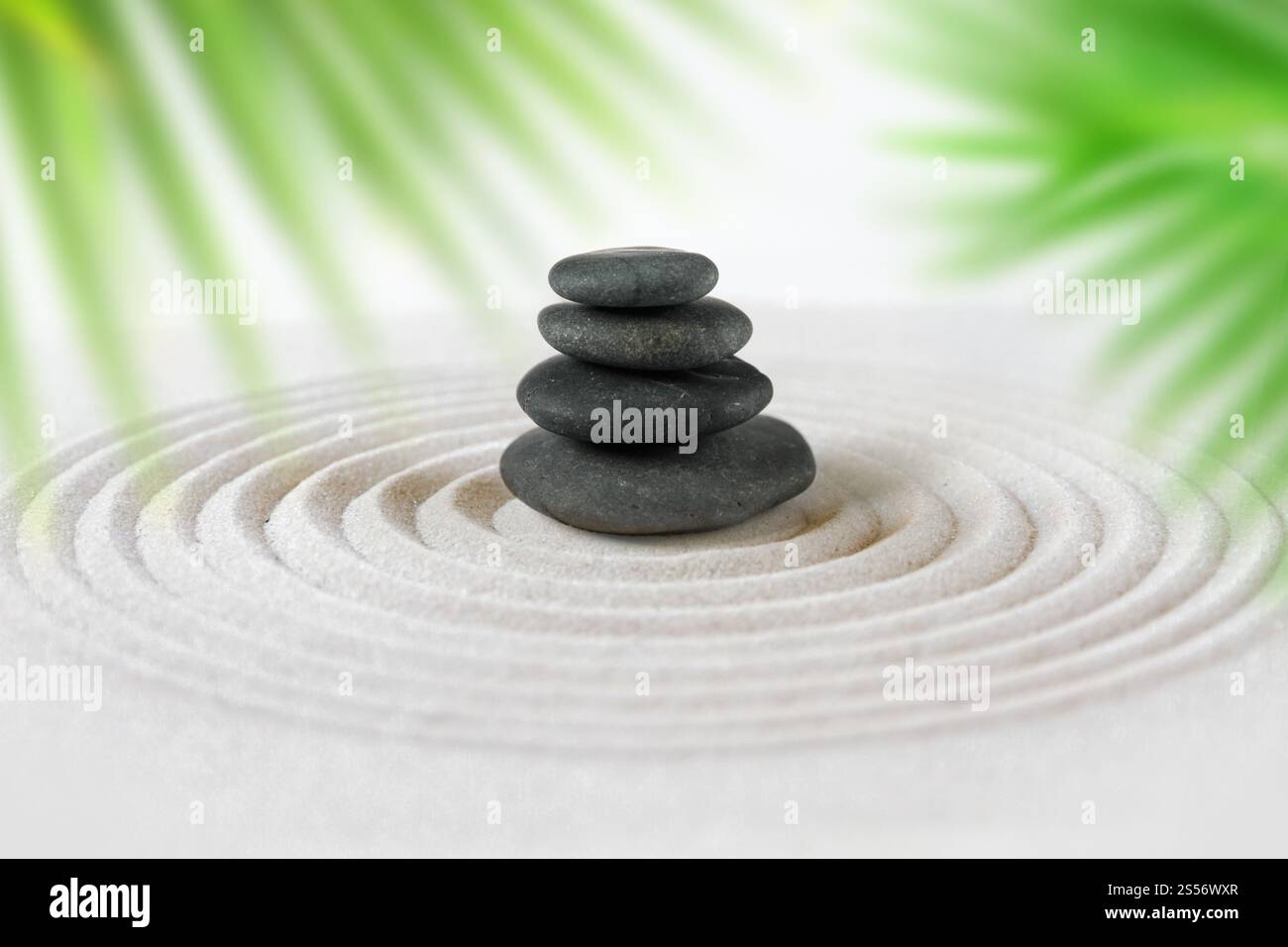 Black stones pile in the sand behind palm leaves. Zen japanese garden ...