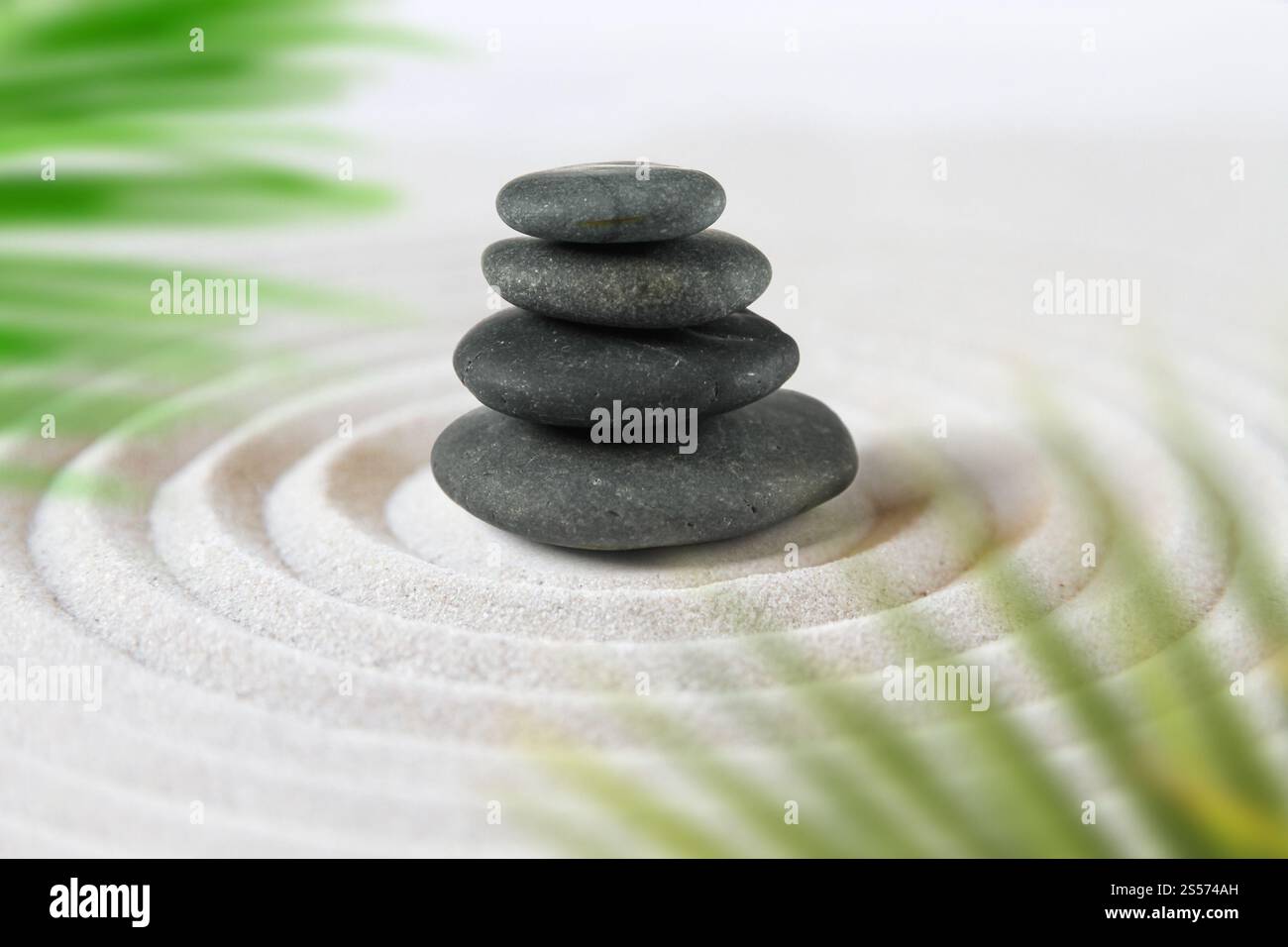 Black stones pile in the sand behind palm leaves. Zen japanese garden ...