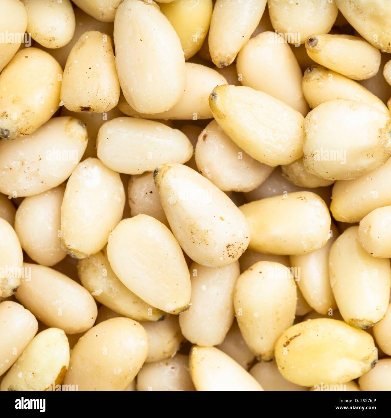 square food background - shelled pine nuts close up Stock Photo