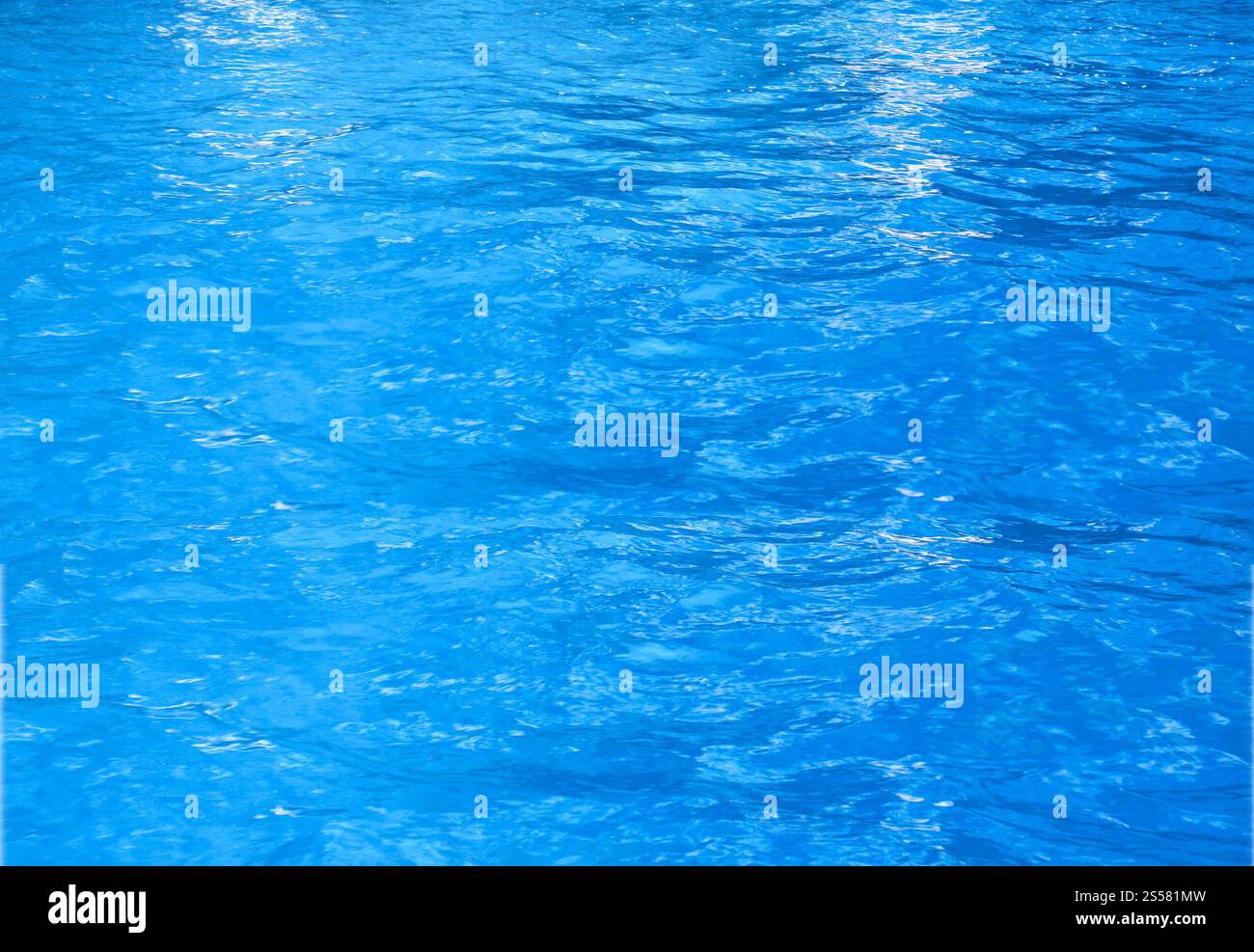 Blue pool hi-res stock photography and images - Alamy
