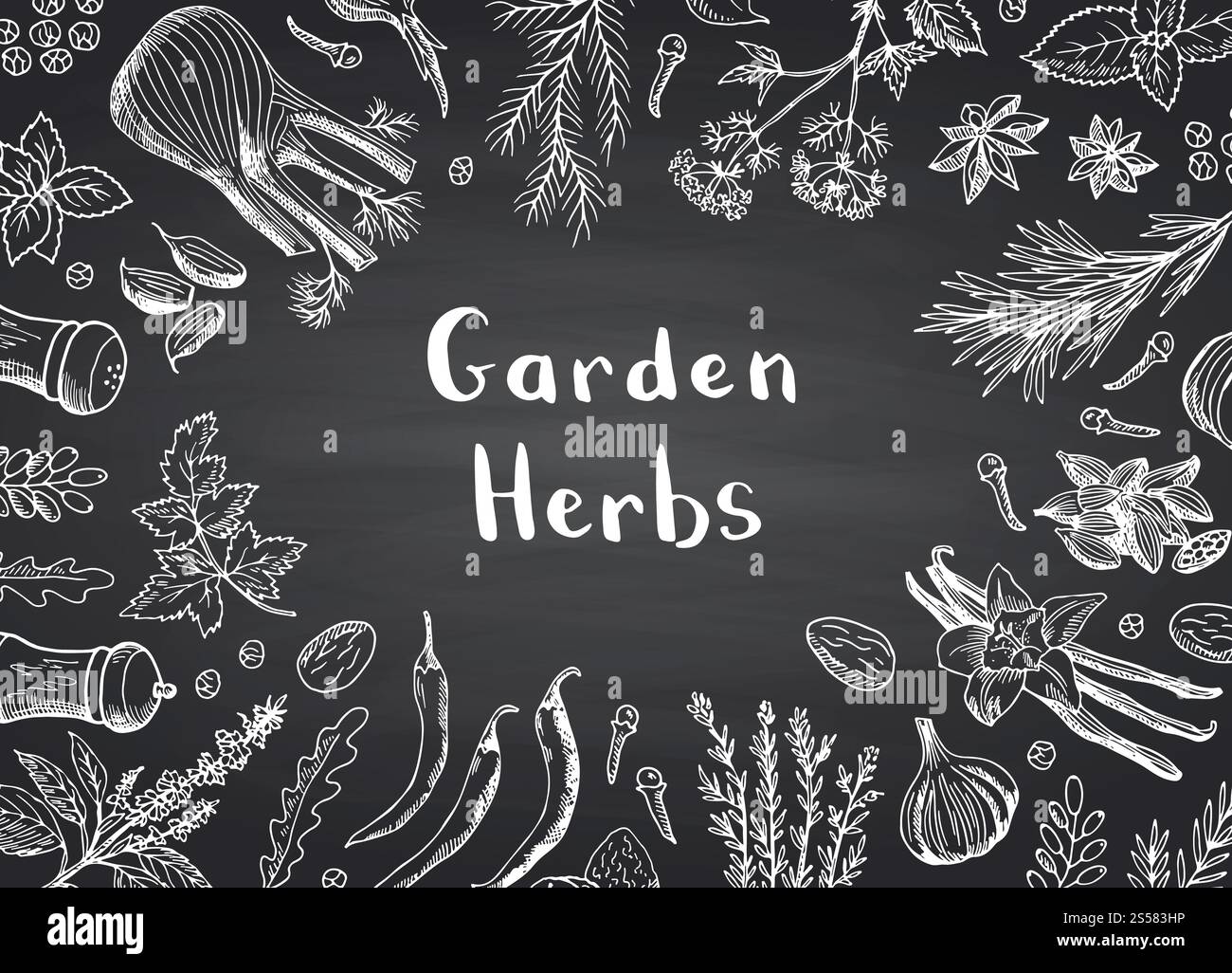 Vector hand drawn herbs and spices on black chalkboard background with ...