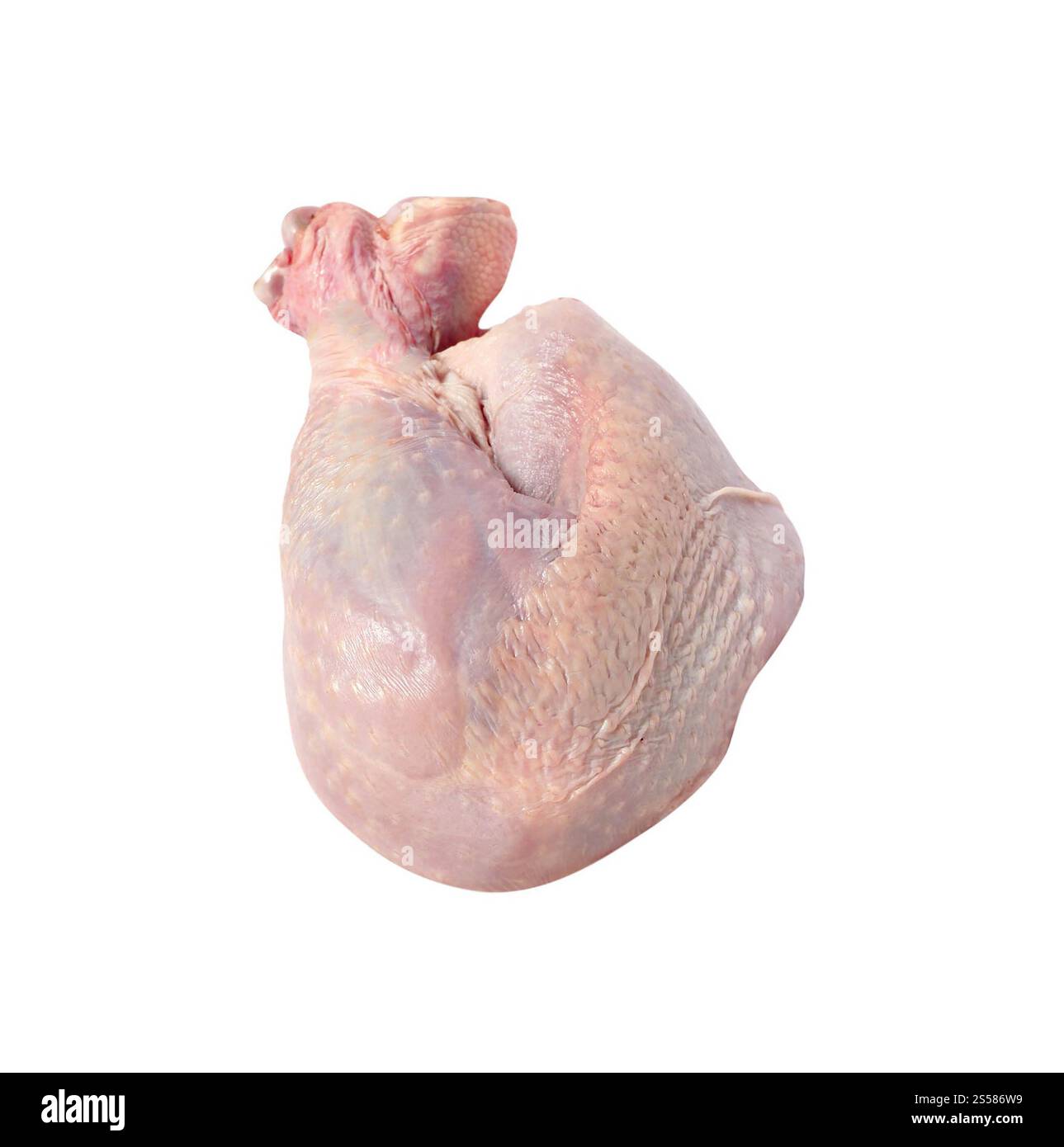 Fresh chicken drumstick on white Stock Photo